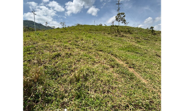 LOTES EN VENTA, CORREGIMIENTO DE SANTIAGO