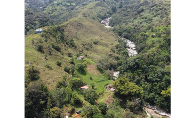 LOTES EN VENTA, CORREGIMIENTO DE SANTIAGO