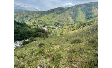 LOTES EN VENTA, CORREGIMIENTO DE SANTIAGO
