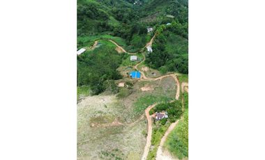 Lote Terreno en el Silencio, Yolombo