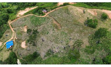 Lote Terreno en el Silencio, Yolombo