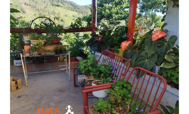 Tu Casa Finca soñada te espera en San Roque