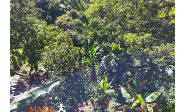 Tu Casa Finca soñada te espera en San Roque