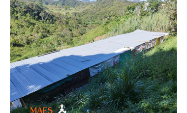 Tu Casa Finca soñada te espera en San Roque