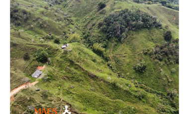 Finca de 16 hectáreas, Oportunidad única en Cisneros, Antioquia