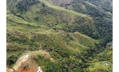 Finca de 16 hectáreas, Oportunidad única en Cisneros, Antioquia