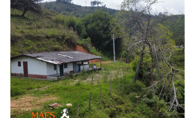 Finca de 16 hectáreas, Oportunidad única en Cisneros, Antioquia