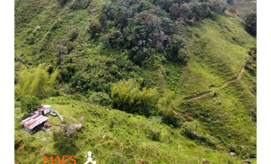 Finca de 16 hectáreas, Oportunidad única en Cisneros, Antioquia