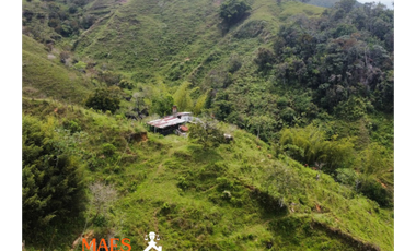 Finca de 16 hectáreas, Oportunidad única en Cisneros, Antioquia