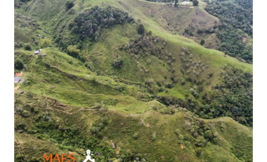 Finca de 16 hectáreas, Oportunidad única en Cisneros, Antioquia