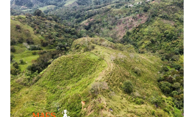 Finca de 16 hectáreas, Oportunidad única en Cisneros, Antioquia