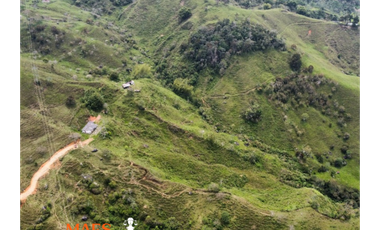 Finca de 16 hectáreas, Oportunidad única en Cisneros, Antioquia