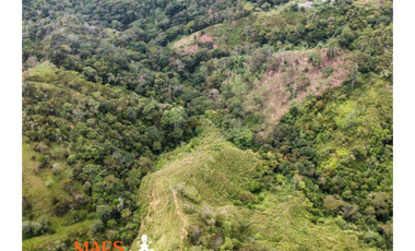 Finca de 16 hectáreas, Oportunidad única en Cisneros, Antioquia