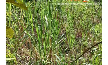 Lote en venta, Bella Fátima