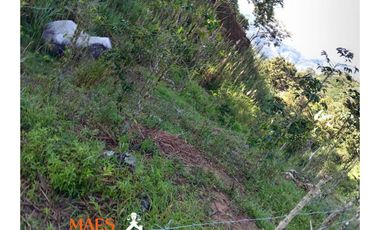 Lote en venta, Bella Fátima