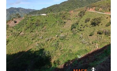 Lote en venta, Bella Fátima