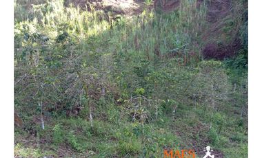 Lote en venta, Bella Fátima