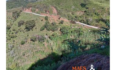 Lote en venta, Bella Fátima