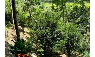 Casa Campestre en Venta – Cisneros, Antioquia