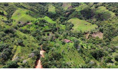 ¡PROYECTO AVANZADO EN VENTA!