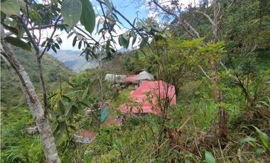 Finca en Venta en Santo Domingo - Vereda Santa Gertrudis
