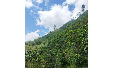 Finca en Venta en Santo Domingo - Vereda Santa Gertrudis