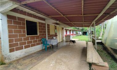 Finca en Venta en Santo Domingo - Vereda Santa Gertrudis