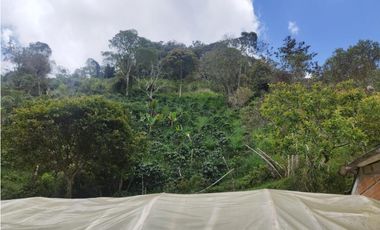 Finca en Venta en Santo Domingo - Vereda Santa Gertrudis