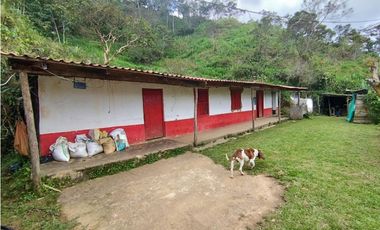 Finca en Venta en Santo Domingo - Vereda Santa Gertrudis