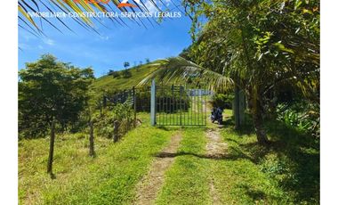 FINCA EN VENTA EN SAN ROQUE, ANTIOQUIA