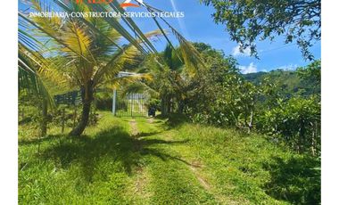 FINCA EN VENTA EN SAN ROQUE, ANTIOQUIA