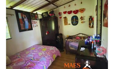 FINCA EN VENTA EN SAN ROQUE, ANTIOQUIA