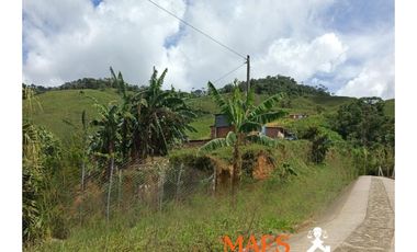 FINCA EN VENTA – CISNEROS, ANTIOQUIA (VEREDA LA DELGADITA)