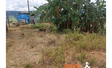 FINCA EN VENTA – CISNEROS, ANTIOQUIA (VEREDA LA DELGADITA)