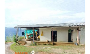 FINCA EN VENTA – CISNEROS, ANTIOQUIA (VEREDA LA DELGADITA)