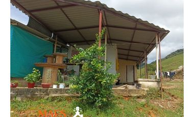 FINCA EN VENTA – CISNEROS, ANTIOQUIA (VEREDA LA DELGADITA)