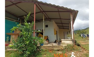 FINCA EN VENTA – CISNEROS, ANTIOQUIA (VEREDA LA DELGADITA)