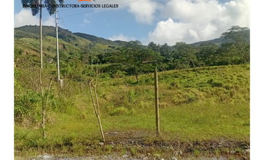 Lote en Venta – Parcelación El Trapiche - Cisneros Antioquia