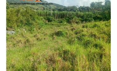 Lote en Venta – Parcelación El Trapiche - Cisneros Antioquia