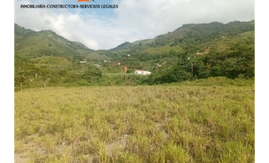 Lote en Venta – Parcelación El Trapiche - Cisneros Antioquia