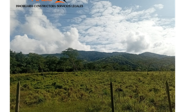 Lote en Venta – Parcelación El Trapiche - Cisneros Antioquia