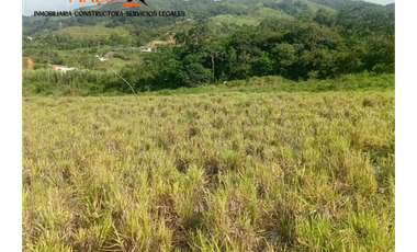 Lote en Venta – Parcelación El Trapiche - Cisneros Antioquia