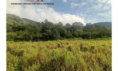 Lote en Venta – Parcelación El Trapiche - Cisneros Antioquia