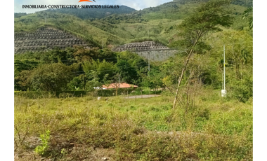 Lote en Venta – Parcelación El Trapiche - Cisneros Antioquia
