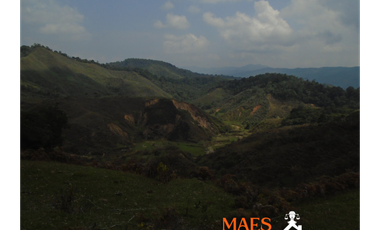 VENDE FINCA GANADERA EN ANGOSTURA – ANTIOQUIA