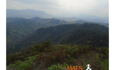 VENDE FINCA GANADERA EN ANGOSTURA – ANTIOQUIA