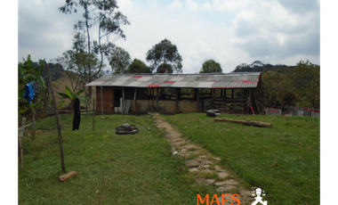 VENDE FINCA GANADERA EN ANGOSTURA – ANTIOQUIA