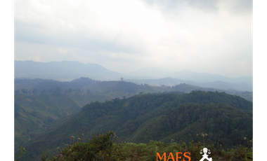 VENDE FINCA GANADERA EN ANGOSTURA – ANTIOQUIA