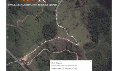 VENDE FINCA GANADERA EN ANGOSTURA – ANTIOQUIA