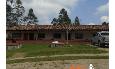 VENDE FINCA GANADERA EN ANGOSTURA – ANTIOQUIA